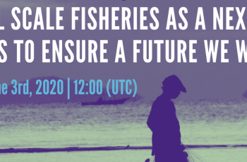 Small is Bountiful: Small-scale fisheries as a nexus of SDGs to ensure a future we want