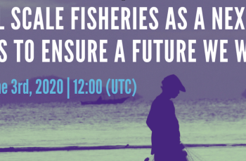 Small is Bountiful: Small-scale fisheries as a nexus of SDGs to ensure a future we want Small is Bountiful: Small-scale fisheries as a nexus of SDGs to ensure a future we want
