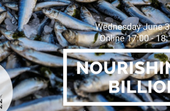 Virtual Ocean Dialogues: Nourishing Billions Virtual Ocean Dialogues: Nourishing Billions