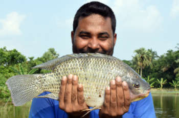 Special events: ICAR-WorldFish research strategy for India Special events: ICAR-WorldFish research strategy for India