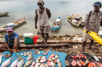 Global conference: Towards an inclusive blue economy