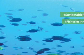 WorldFish @ external events: FAO International Symposium on Fisheries Sustainability WorldFish @ external events: FAO International Symposium on Fisheries Sustainability