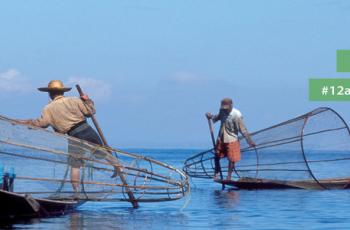 Global conference: 12th Asian Fisheries and Aquaculture Forum