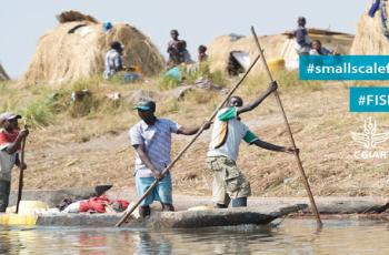 Pan-African Workshop on Strengthening Organizational Structures of Non-State Structures of Non-State Actors for Sustainable Small-Scale Fisheries in Africa 