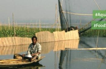 FAO Tenth Session: COFI Sub-Committee on Aquaculture