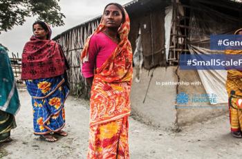 WorldFish Webinar: Gender Equity & Equality in the Small-scale fisheries Guidelines WorldFish Webinar: Gender Equity & Equality in the Small-scale fisheries Guidelines