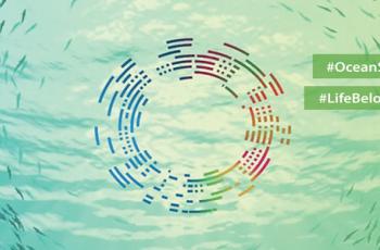 Special events: 2nd Expert Group Meeting Special events: 2nd Expert Group Meeting