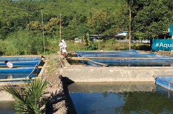 Country events: Inauguration of Public-Private-Partnership (PPP) model GIFT Hatchery in Timor Leste