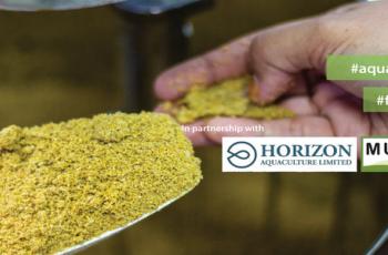 Country events: Horizon Aquaculture Outlet Launch in Zambia