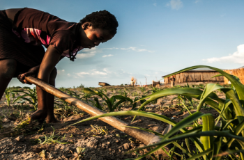 CGIAR Big Data Webinar: What makes an Ontology a reference resource for agricultural data annotation? CGIAR Big Data Webinar: What makes an Ontology a reference resource for agricultural data annotation?