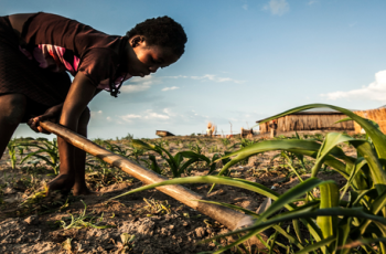 CGIAR Big Data Webinar: What makes an Ontology a reference resource for agricultural data annotation?