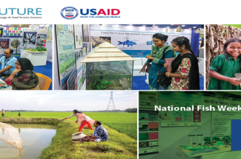 National Fish Week Bangladesh 2019 National Fish Week Bangladesh 2019