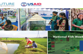 National Fish Week Bangladesh 2019