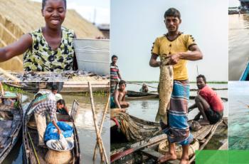 Global events: World Fisheries Day 2018 Global events: World Fisheries Day 2018