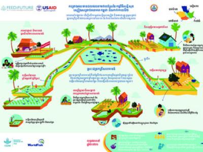 Feed the future. Cambodia Rice Field Fisheries II (Khmer version)