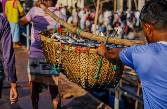 Two baskets filled with freshly caught Indian Salmon fish being carried to a fish market in Cox’s Bazar, Bangladesh, where they will be sold for local and international distribution. Photo by Philipo Ngonyani.