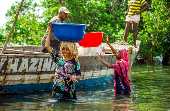 This group of photos captures the fish processing journey from the moment the fish is landed from the sea to its final distribution. The images highlight key stages, including offloading from fishing vessels, boiling to preserve quality, sun-drying for longer storage, and packaging before being transported to markets. Photo by Festo Lumwe