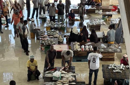fish market in zanzibar.