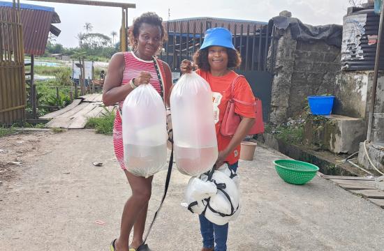 GIFT tilapia farmers nigeria