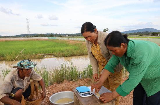 Women-Led Prawn Sampling for Growth Monitoring, Kampong Thom Province © SEAN Vichet
