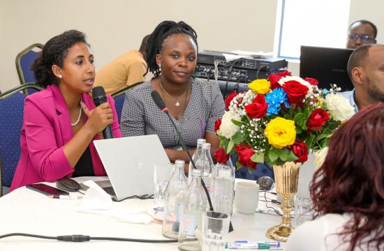 Facilitators lead participants through interactive discussions on inclusive agrifood systems.