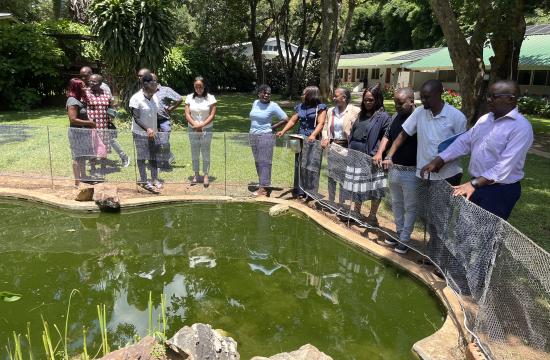 Participants at the Training of Trainers workshop in Zambia discuss how inclusion, decision-making and household dynamics influence productivity in small-scale aquaculture systems. Photo: Gregory Kasanga/WorldFish.