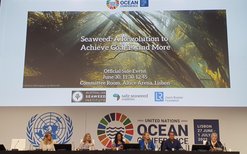 Shakuntala Haraksingh Thilsted  (middle), Vincent Doumeizel (second from left), and other members of the Safe Seaweed Coalition presenting in a side session during the 2022 UN Ocean Conference in Lisbon, Portugal. Photo by Ben Wismen.