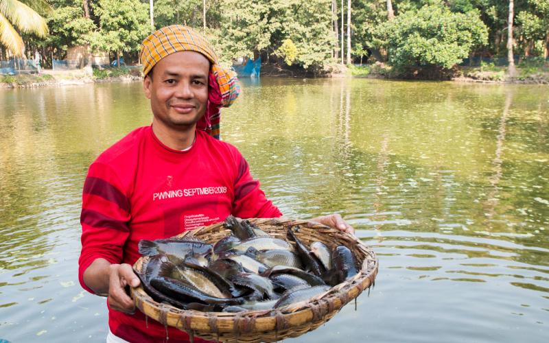 A Bangladeshi farmer poses with the climbing perch fish harvested from his aquaculture pond. The Gates Foundation is in the process of investing in the country’s smallholder aquaculture sector. Photo by Balaram Mahalder.