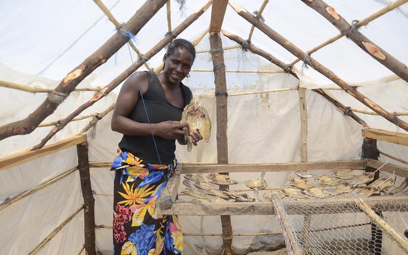 A woman processor holds dried fish in a solar tent dryer in Senanga District, Zambia. Photo by Olek Kaminski. 