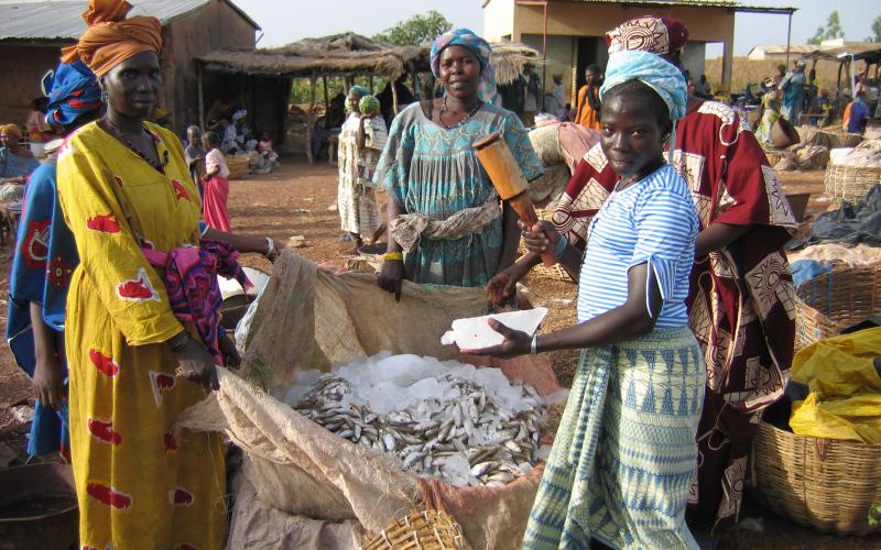 Fish traders in Mali