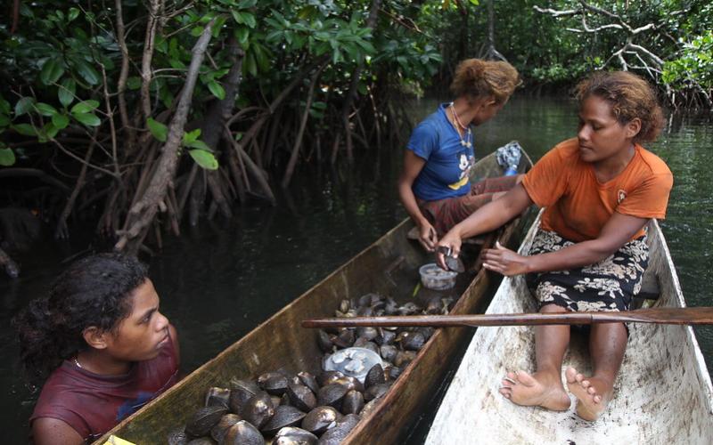 small-scale fisheries