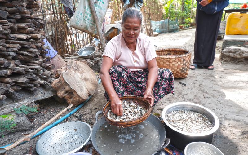 A woman washes small fish in Myanmar. Photo by Kyaw Win Khaing