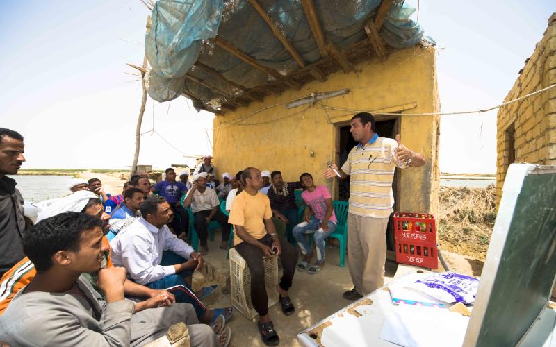 Hassan Ali Abdelrahman, a fish farmer and trainee, applied his learnings to increase his income and resilience. Photo: Heba El Begawi