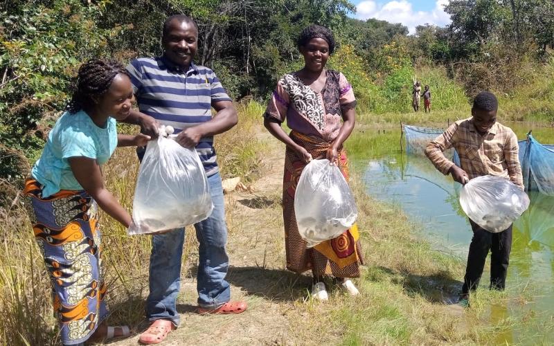 Mfune assisting a farmer to stock their pond. Photo: Mary Lundeba