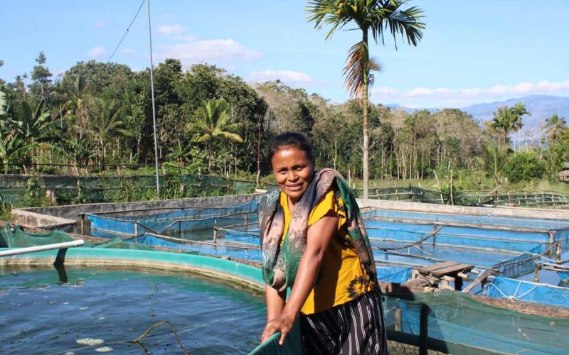 Amelia Da Silva has six ponds in Leohitu village, Timor-Leste, where she farms genetically improved farmed tilapia as part of a farmer cluster supported by the Partnership for Aquaculture Development in Timor-Leste Phase 2 (PADTL2) project. Photo by Carlos Alves Almeida. 