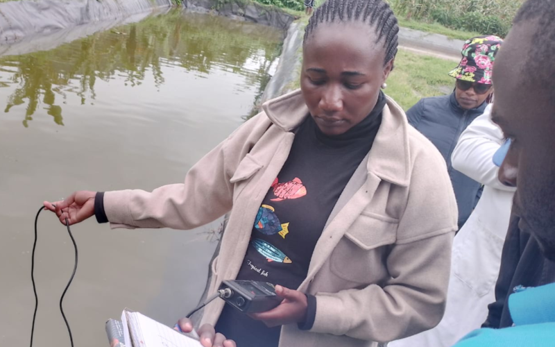 Mercy Matuma Hamisi sampling data of Jipe Tilapia (Oreochromis jipe), an endangered fish, for her master's program at Lake Jipe in Kenya. Photo taken by Cidee khaseke and Finnan Ageng'o, WorldFish.