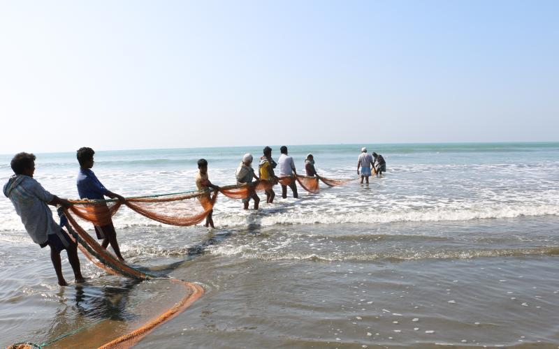 The ocean is an incredible source of aquatic foods. Photo by Md. Asaduzzaman.