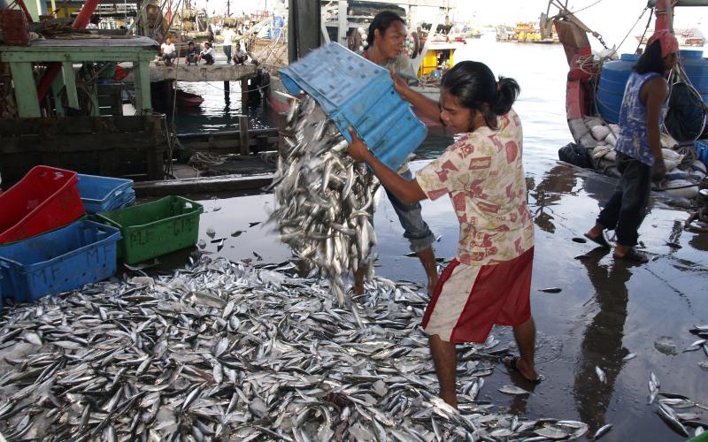 Small-scale fisheries, Kota Kinabalu, Malaysia, photo by Jamie Oliver, 2007