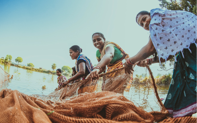 Leveraging on multi-utility waterbodies to sustainably produce aquatic  foods in India