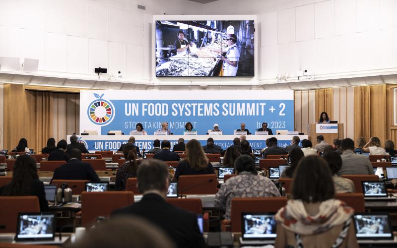 At the recent UN Food Systems Summit +2 Stocktaking Moment, ministers agreed on the vital importance of supporting the sustainable development of aquatic food systems. Photo: FAO