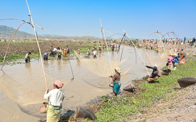 Women led community fishing at Borjong wetland in Assam. Photo by Sourabh Dubey.