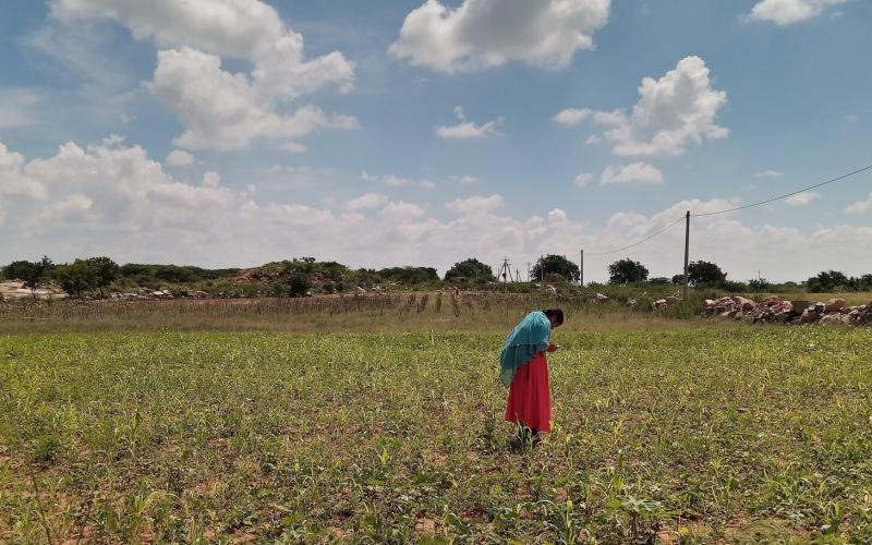 Understanding and influencing agency and behavior change in agroecological transformation processes. Photo by CGIAR.