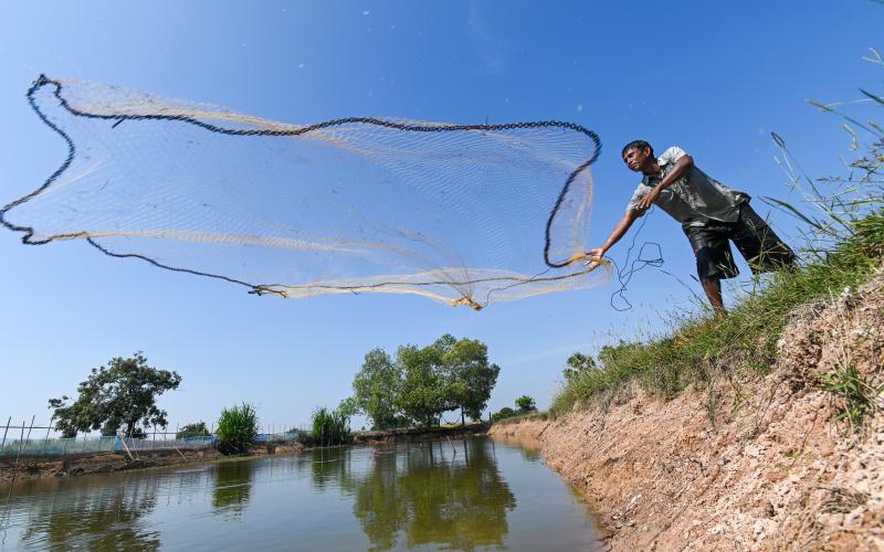 Diving deep into the diversity of fish and other aquatic foods offers an unmatched potential to transform food systems for healthier people and a sustainable planet.