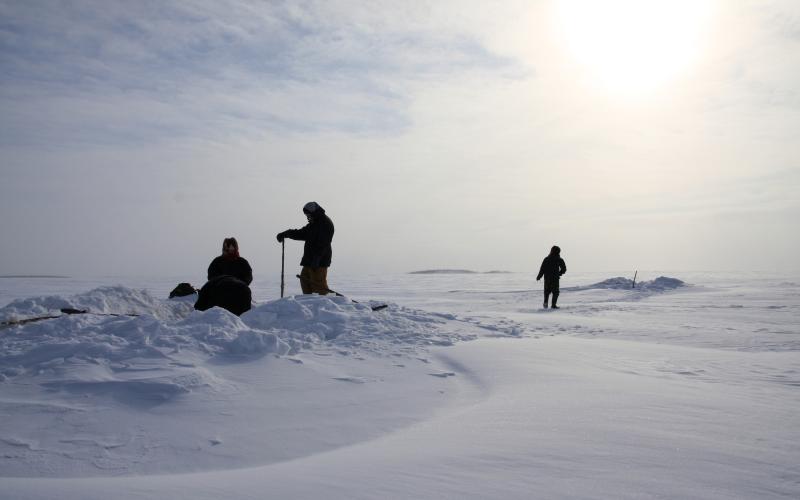 Harvesting fish with gill nets under two metres of ice on the Kolyma River, Sakha-Yakutia, Russia (Siberia). Photo by Snowchange. 