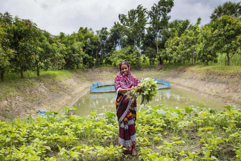 Jayanti Rai, a woman fish farmer taking care her vegetables garden beside the pond dike at Goaldhanga, Narail, Bangladesh. Photo by Noor Alam.