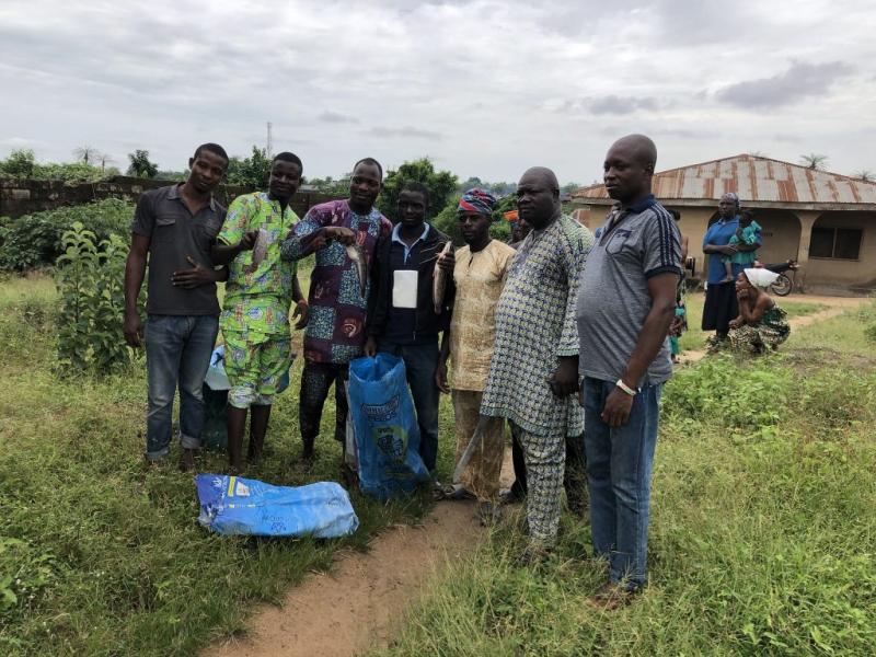 A group of small-scale fish farmers, mostly men, show of their catfish farmed in monoculture ponds. Photo by Bradley, WorldFish.