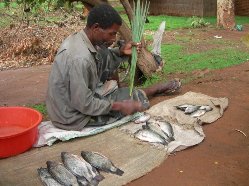 Adverse climatic conditions will affect the food and nutrition security of smallholder farmers. Photo by Asafu Chijere, 2010.