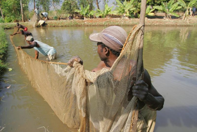 The project has a special focus on getting research outcomes into the hands of small-scale producers. Photo by Stevie Mann, 2007.