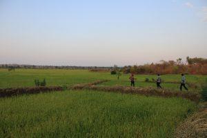 Site selection for the DeSira project to set up experiments on Fish Rice Integration in Karonga District, Northern Malawi. Photo by Meriam Phiri, 2020.