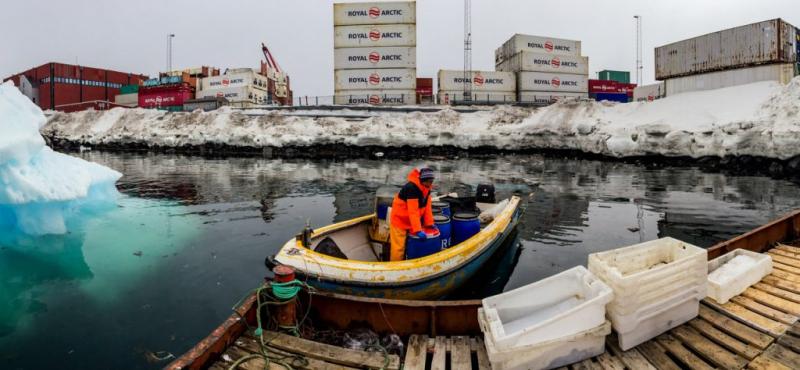 Photo of Greenlandic man landing Atlantic cod (Gadus morhua) in Qeqertarsuatsiaat, Greenland. Photo by Hunter T. Snyder.